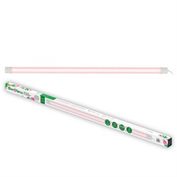 ULZ-P81-45W/SPLE IP65 CLEAR - фото 72241