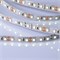 ULS-M13-2835-120LED/m-8mm-IP20-DC12V-9,6W/m-5M-6500K PROFI Гибкая светодиодная лента на самоклеящейся основе. Катушка 5м. в герметичной упаковке. Дневной свет (6500K). ТМ Uniel. UL-00004362 - фото 73322