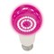 LED-A60-15W/SPSB/E27/CL PLP30WH Лампа светодиодная для растений. Форма "A", прозрачная. Спектр для рассады и цветения. Картон. ТМ Uniel UL-00010107 - фото 75916