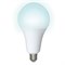 LED-A95-35W/6500K/E27/FR/NR Лампа светодиодная. Форма "A", матовая. Серия Norma. Дневной белый свет (6500K). Картон. ТМ Volpe UL-00005609 - фото 76274