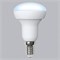 LED-R50-7W/NW/E14/FR/NR Лампа светодиодная. Форма "Рефлектор", матовая. Серия Norma. Белый свет (4000K). Картон. ТМ Volpe UL-00003844 - фото 78060