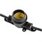 UDL-K121 10/E27/5M 5C IP65 BLACK BELT-LIGHT Гирлянда Белт-лайт, 5 м + 1,5м сетевой шнур. 10 патронов E27, шаг 50см. 5 заглушек. Чёрная. TM Uniel. UL-00007150 - фото 80444