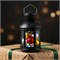 ULD-L1220-010/DTB/RGB BLACK Фонарь со светодиодной гирляндой внутри, на батарейке (в комплект не входит). 10 светодиодов. RGB свет. Режим мигания. Черный корпус. 12*20 см. TM Uniel. UL-00002309 - фото 83397