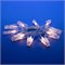 ULD-S0200-010/STB/2AA WARM WHITE IP20 CLIPS  Гирлянда светодиодная на батарейках 2AA (не в/к), «Прищепки», 2м. 10 светодиодов. Теплый белый свет. Провод прозрачный. TM Uniel. UL-00005484 - фото 83667