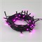 ULD-S0500-050/DGA PINK IP20 Гирлянда светодиодная, 5м. 50 светодиодов. Розовый свет. Провод зеленый. ТМ Uniel UL-00007306 - фото 83828
