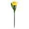 USL-C-452/PT305 YELLOW TULIP  Садовый светильник на солнечной батарее "Желтый тюльпан". Белый свет. 1*LR аккумулятор в/к. IP44. TM Uniel. UL-00004277 - фото 91878