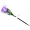 USL-C-453/PT305 PURPLE TULIP  Садовый светильник на солнечной батарее "Лиловый тюльпан". Белый свет. 1*LR аккумулятор в/к. IP44. TM Uniel. UL-00004278 - фото 91886