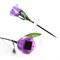 USL-C-453/PT305 PURPLE TULIP  Садовый светильник на солнечной батарее "Лиловый тюльпан". Белый свет. 1*LR аккумулятор в/к. IP44. TM Uniel. UL-00004278 - фото 91887