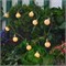 USL-S-126/PT1800 FROST BULBS Садовая гирлянда на солнечной батарее «Матовые лампочки». 10 светодиодов. Теплый белый свет. 1*АА Ni-Mh аккумулятор в/к. IP44. TM Uniel UL-00012697 - фото 92088