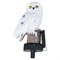 USL-S-823/PM290 POLAR OWL Садовый светильник на солнечной батарее «Полярная сова». 1 светодиод. Теплый белый свет. 1*АA Ni-Mh аккумулятор в/к. IP44. TM Uniel UL-00011596 - фото 92359
