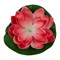 USL-S-826/PT060 RED WATERLILY Садовый светильник на солнечной батарее «Красная кувшинка». Плавающий. 1 светодиода. Теплый белый свет. 1*ААA Ni-Mh аккумулятор в/к. IP44. TM Uniel UL-00011599 - фото 92388