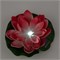 USL-S-826/PT060 RED WATERLILY Садовый светильник на солнечной батарее «Красная кувшинка». Плавающий. 1 светодиода. Теплый белый свет. 1*ААA Ni-Mh аккумулятор в/к. IP44. TM Uniel UL-00011599 - фото 92392