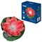 USL-S-826/PT060 RED WATERLILY Садовый светильник на солнечной батарее «Красная кувшинка». Плавающий. 1 светодиода. Теплый белый свет. 1*ААA Ni-Mh аккумулятор в/к. IP44. TM Uniel UL-00011599 - фото 92395