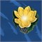 USL-S-827/PT060 YELLOW WATERLILY Садовый светильник на солнечной батарее «Желтая кувшинка». Плавающий. 1 светодиода. Теплый белый свет. 1*ААA Ni-Mh аккумулятор в/к. IP44. TM Uniel UL-00011600 - фото 92399