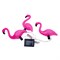 USL-S-833/PM530 FLAMINGO SET3 Садовый светильник на солнечной батарее «Фламинго», в комплекте из 3 штук. 6 светодиодов. Белый свет. 1*АA Ni-Mh аккумулятор в/к. IP44. TM Uniel UL-00012698 - фото 92435