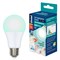 LED-A60-9W/SCBG/E27/FR/DIM IP65 PLO65WH Лампа светодиодная диммируемая для бройлеров. Спектр синий и зеленый. TM Uniel. UL-00003190 - фото 93664