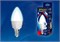 LED-C37 7W/NW/E14/FR PLP01WH Лампа светодиодная. Форма «свеча», матовая. Серия ЯРКАЯ. Белый свет (4000K). Картон. ТМ Uniel UL-00002411 - фото 93767