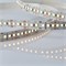 ULS-M16-2835-180LED/m-10mm-IP20-DC12V-17W/m-5M-3000K PROFI Гибкая светодиодная лента на самоклеящейся основе. Катушка 5м. в герметичной упаковке. Теплый белый свет(3000К). ТМ Uniel UL-00007639 - фото 96079