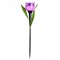 USL-C-453/PT305 PURPLE TULIP  Садовый светильник на солнечной батарее "Лиловый тюльпан". Белый свет. 1*LR аккумулятор в/к. IP44. TM Uniel. UL-00004278 - фото 96456