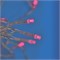 ULD-C3020-160/DTA PINK IP20 Занавес светодиодный, 3х2м. 160 светодиодов. Розовый свет. Провод прозрачный. TM Uniel UL-00010916 - фото 97883
